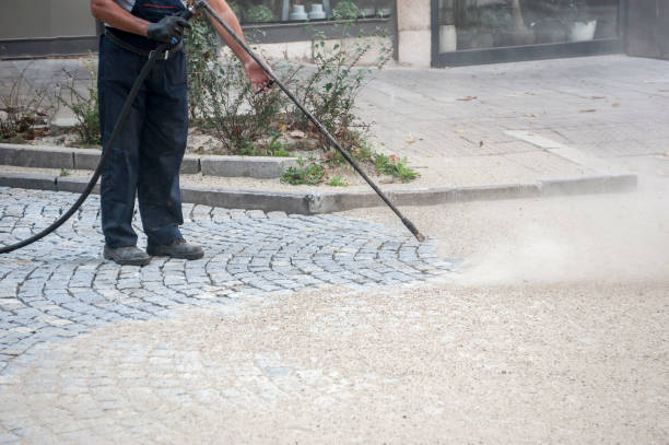 Best Pre-Holiday Cleaning  in Prieton, NC